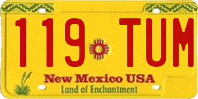 NM license plate 119TUM