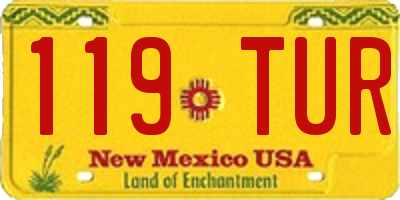 NM license plate 119TUR