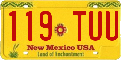 NM license plate 119TUU
