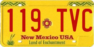 NM license plate 119TVC