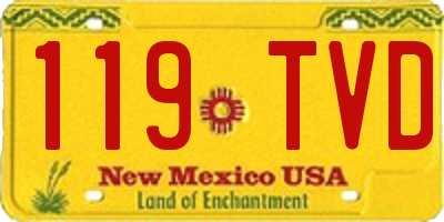 NM license plate 119TVD