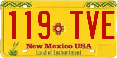 NM license plate 119TVE