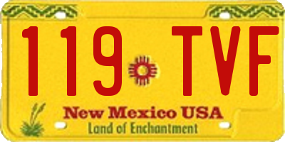 NM license plate 119TVF