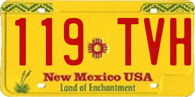 NM license plate 119TVH