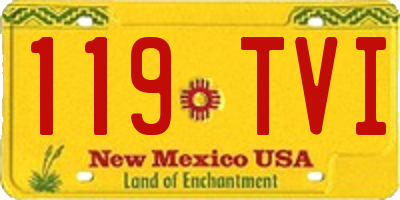 NM license plate 119TVI