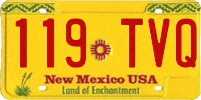 NM license plate 119TVQ