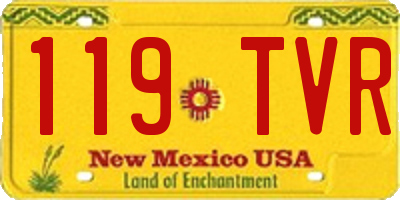 NM license plate 119TVR