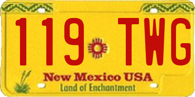 NM license plate 119TWG