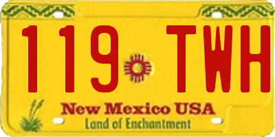 NM license plate 119TWH