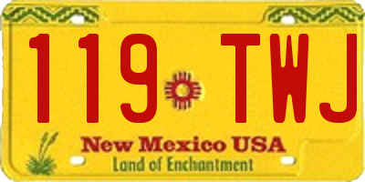 NM license plate 119TWJ