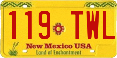 NM license plate 119TWL