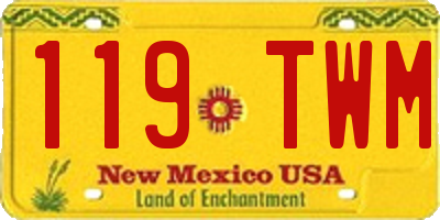 NM license plate 119TWM