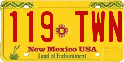 NM license plate 119TWN