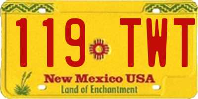 NM license plate 119TWT