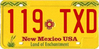 NM license plate 119TXD