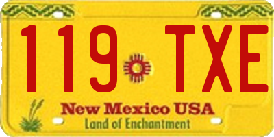 NM license plate 119TXE