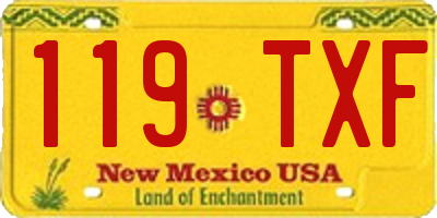 NM license plate 119TXF