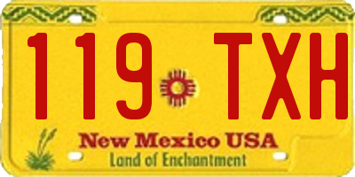 NM license plate 119TXH