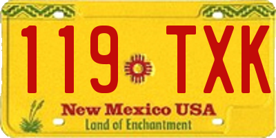NM license plate 119TXK