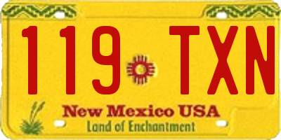 NM license plate 119TXN