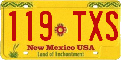 NM license plate 119TXS
