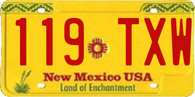 NM license plate 119TXW