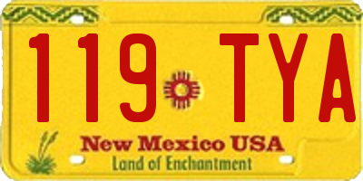 NM license plate 119TYA