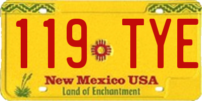 NM license plate 119TYE