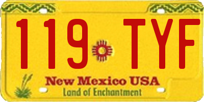 NM license plate 119TYF