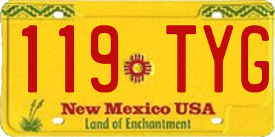 NM license plate 119TYG