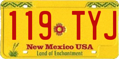 NM license plate 119TYJ