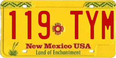 NM license plate 119TYM