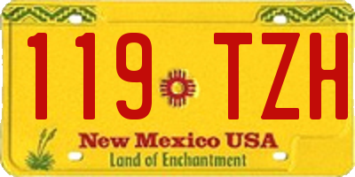 NM license plate 119TZH