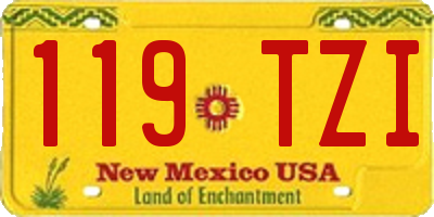 NM license plate 119TZI