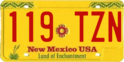 NM license plate 119TZN