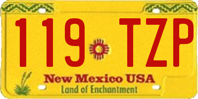 NM license plate 119TZP