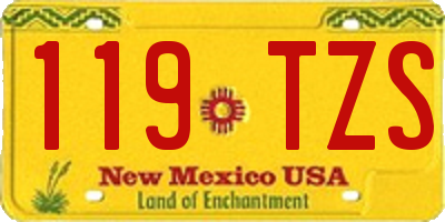 NM license plate 119TZS