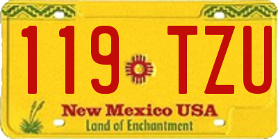 NM license plate 119TZU