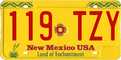 NM license plate 119TZY