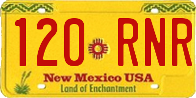 NM license plate 120RNR