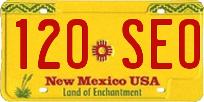 NM license plate 120SEO
