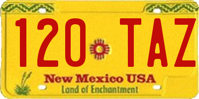 NM license plate 120TAZ