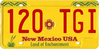 NM license plate 120TGI