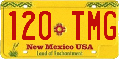NM license plate 120TMG