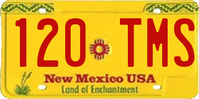 NM license plate 120TMS