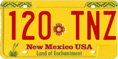 NM license plate 120TNZ