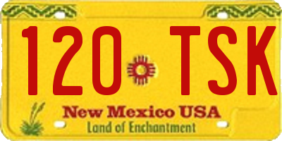 NM license plate 120TSK