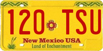 NM license plate 120TSU