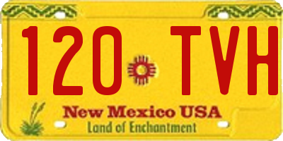 NM license plate 120TVH