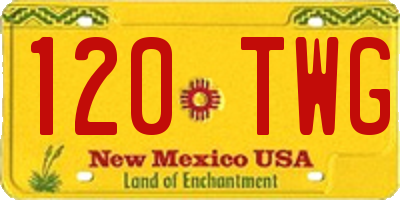 NM license plate 120TWG